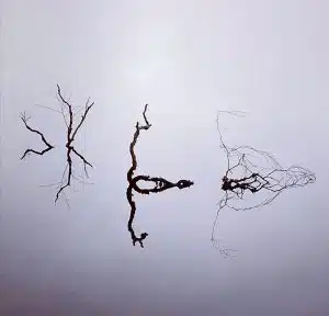 art lac