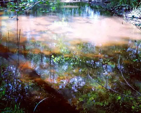 Reflets