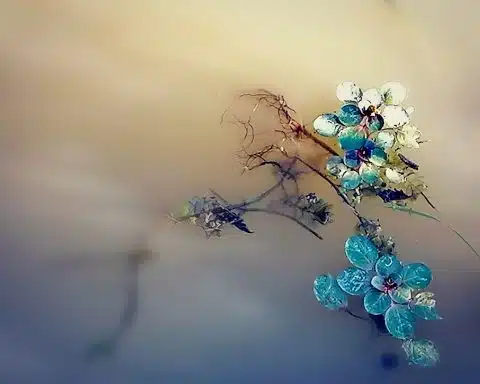 Fleurs des marais