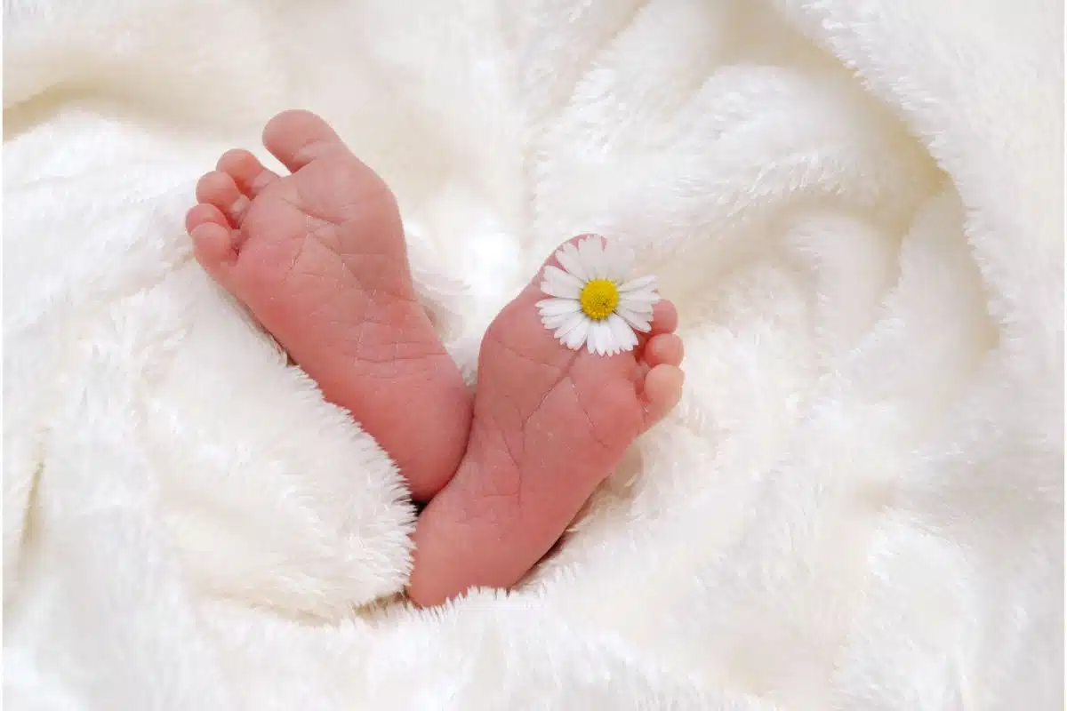 bébé