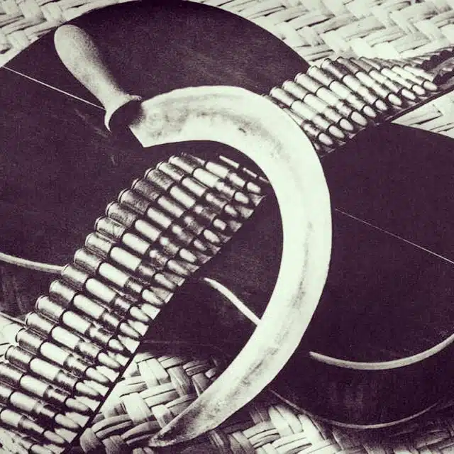 tina modotti