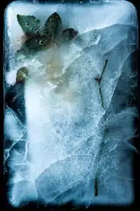 dscf1409