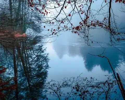 etangbrumemorvan