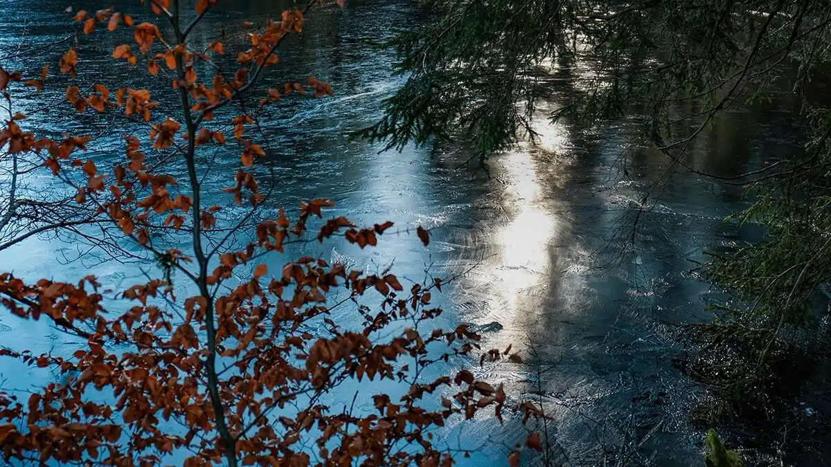 refletetangmorvan1